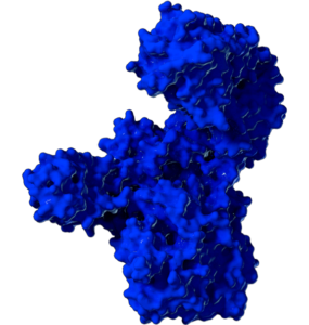 Microsocopic visualization of the pure core neurotoxin protein