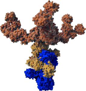 Microscopic visualization of a neurotoxin with complex and unnecessary proteins not in xeomin injection