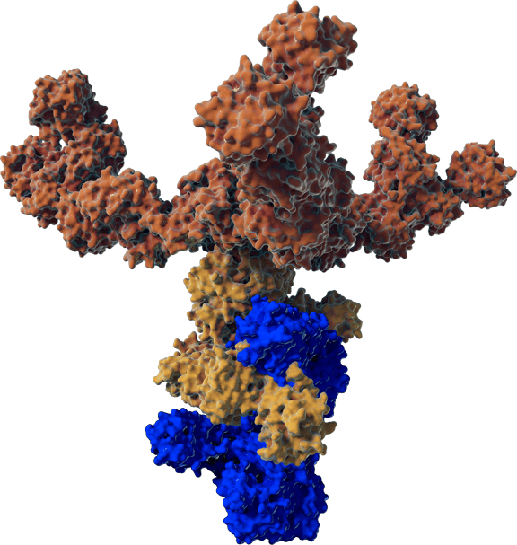 Microscopic visualization of a neurotoxin with complex and unnecessary proteins not in xeomin injection